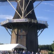 IMG_4905